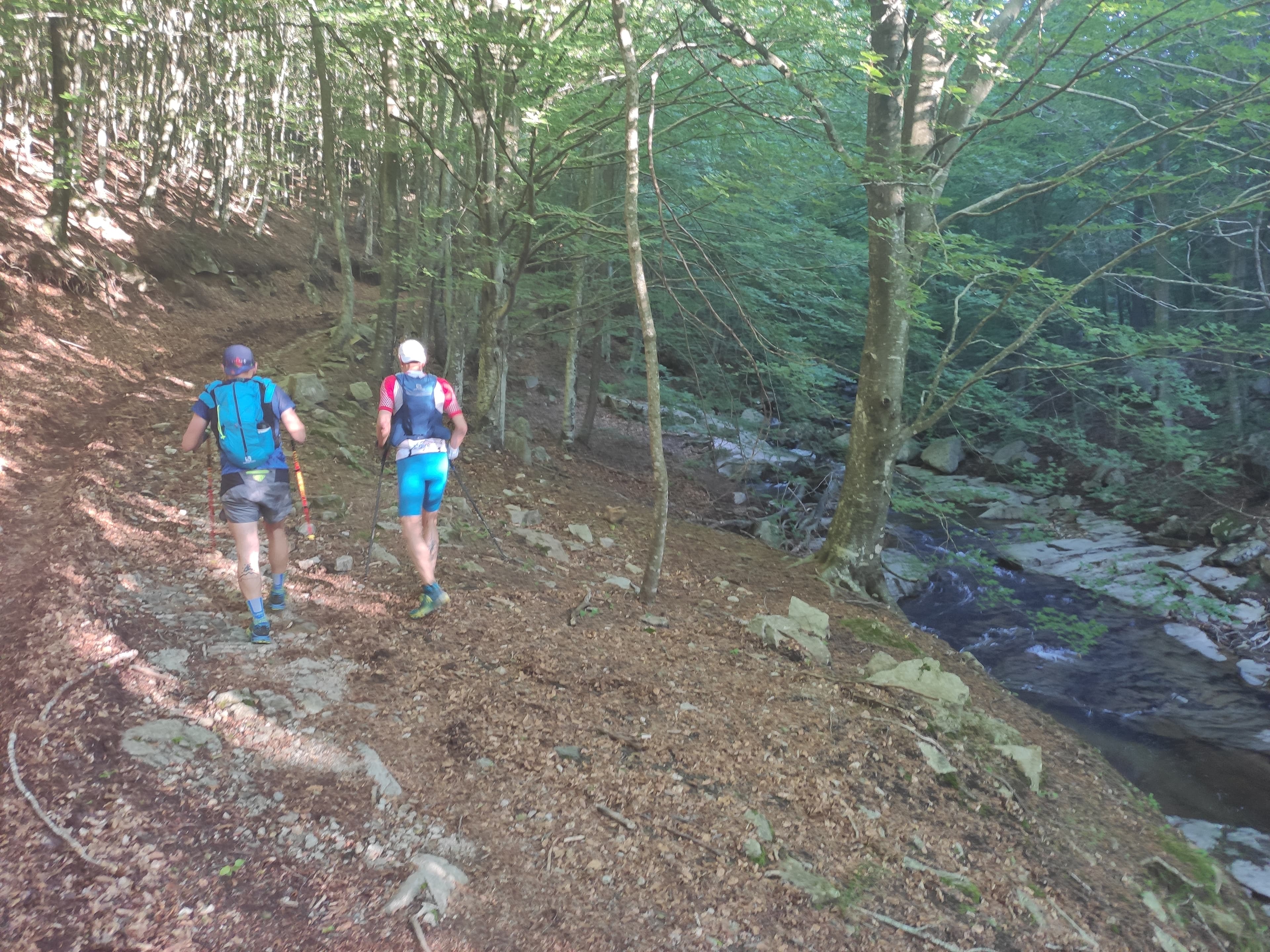 Corredors travessant un bosc amb rierol