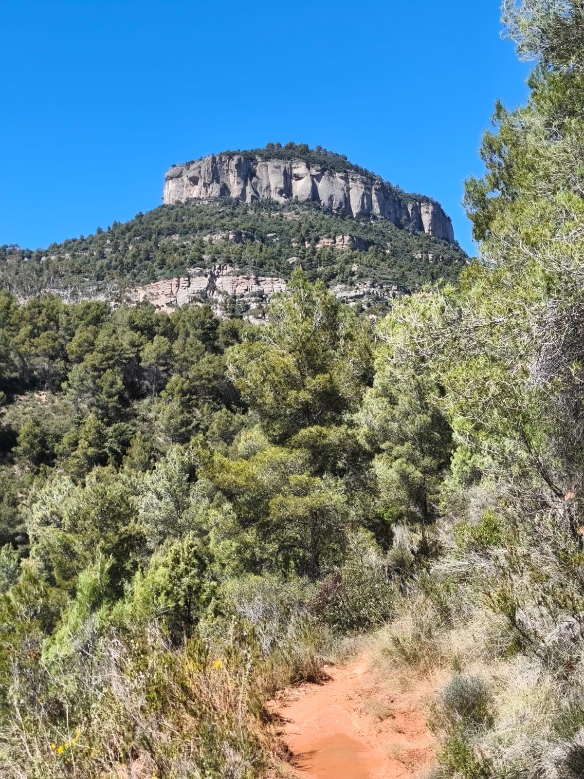 Penya-segats i camí de terra roja